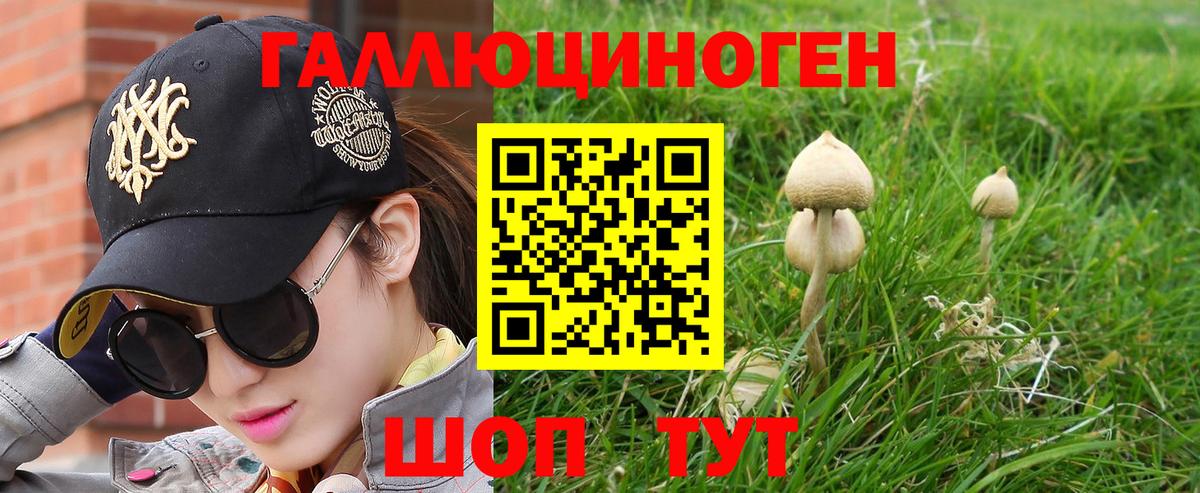Псилоцибиновые грибы мухоморы Богородицк