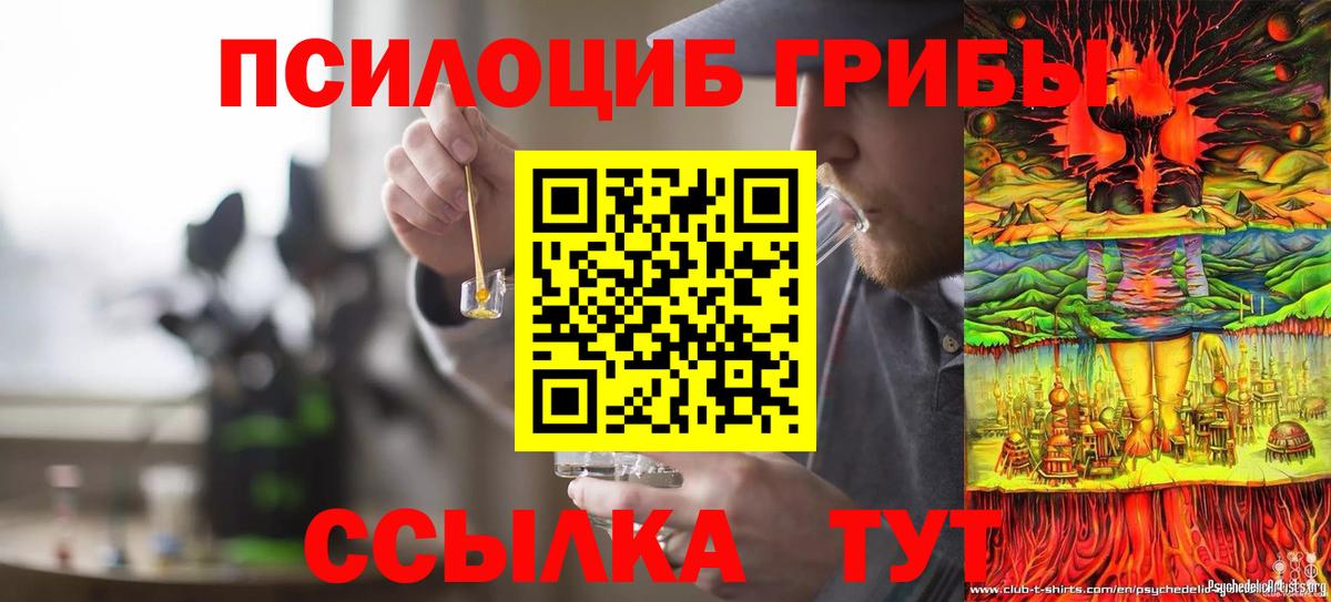 Богородицк  продажа наркотиков  Вход с VPN  Галлюциногенные грибы Psilocybe 
